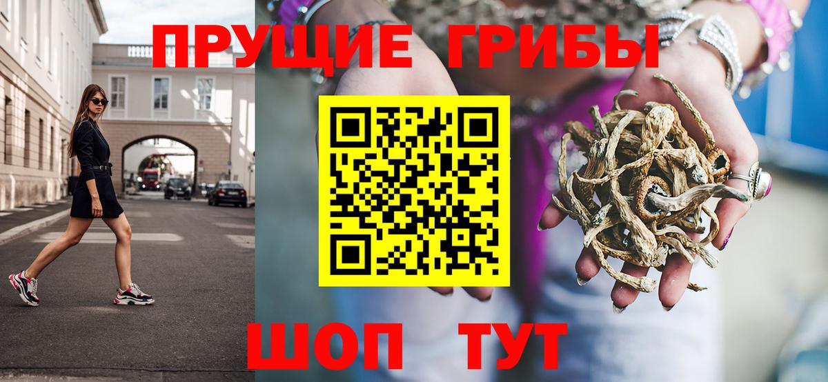 Псилоцибиновые грибы Cubensis  Вход с VPN  Новоалтайск 